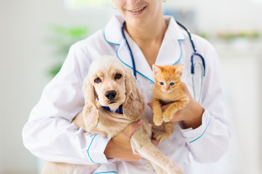 A veterinarian holding a puppy and a kitten