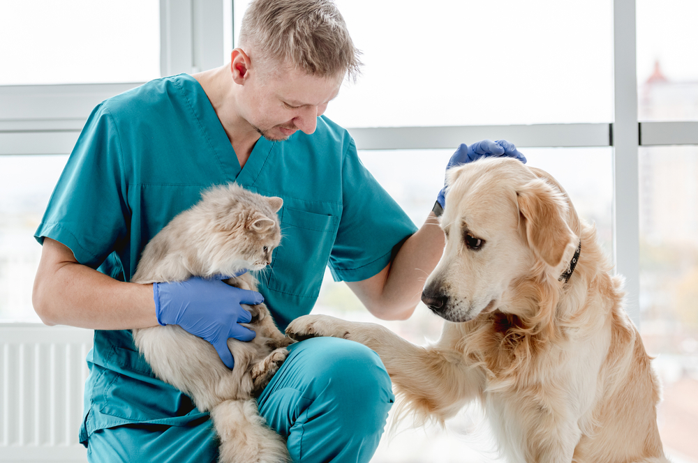 Understanding the Role of Veterinary Clinics