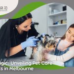 Vet Magic Unveiling Pet Care Secrets in Melbourne