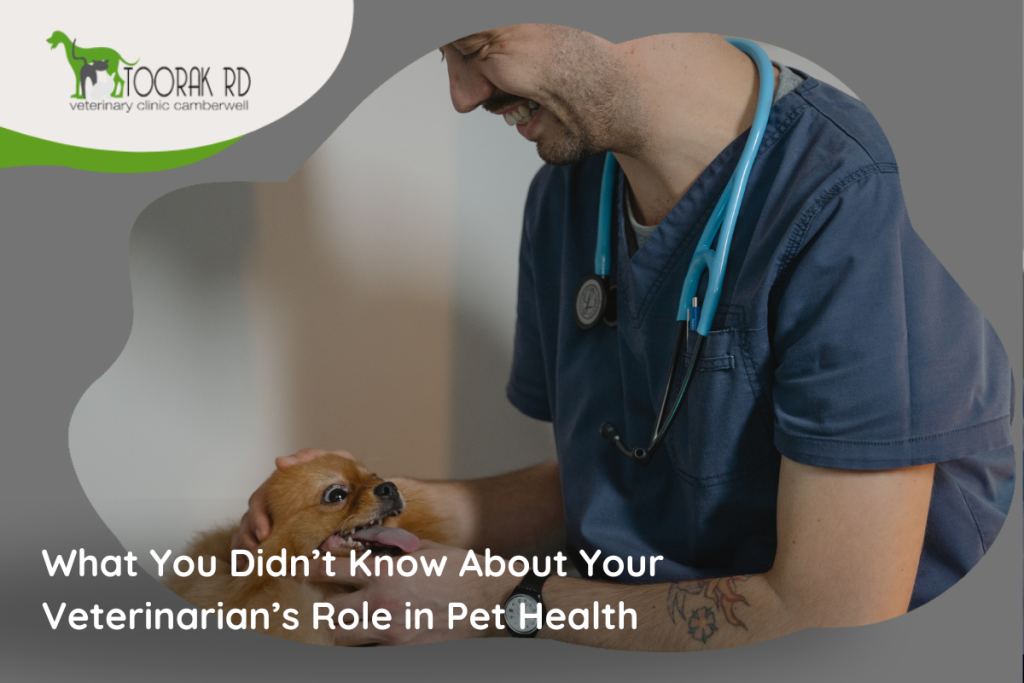 Veterinarian examining a happy dog during a routine health check-up.